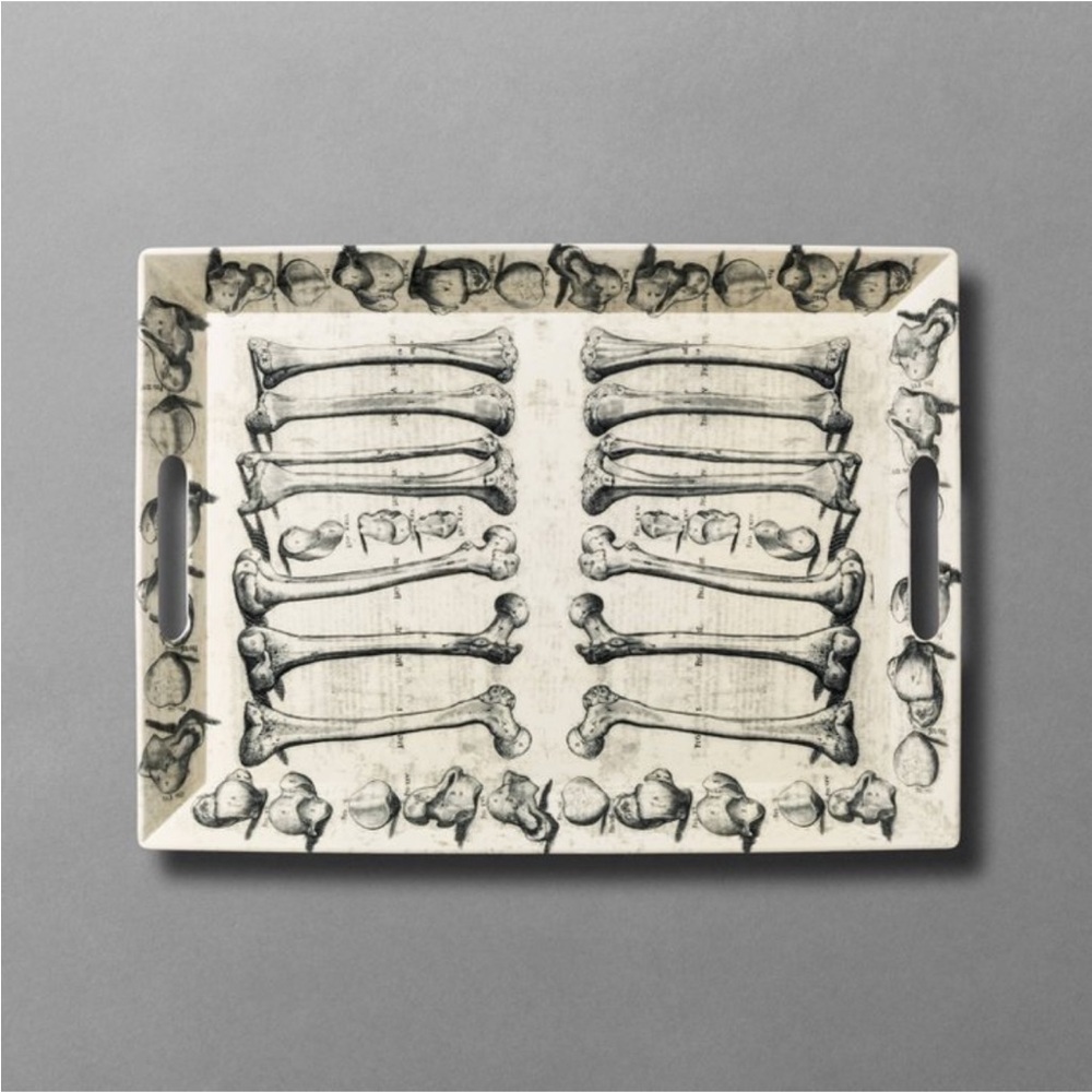 JOHN DERIAN NWT bone to pick melamine rectangle serving tray -19x14